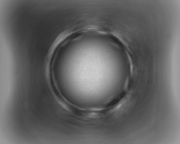 X0000113990151200910091345