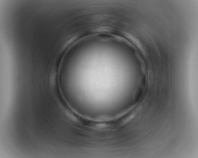 X0000113990153200910091345