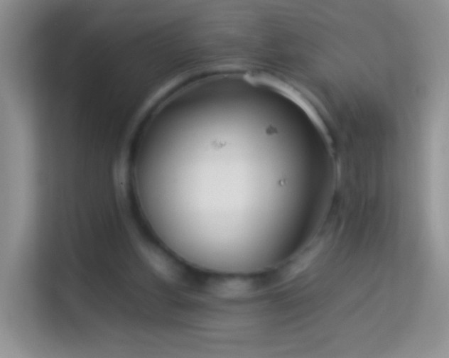 X0000113990156200910091345