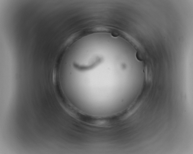 X0000113990157200910091345