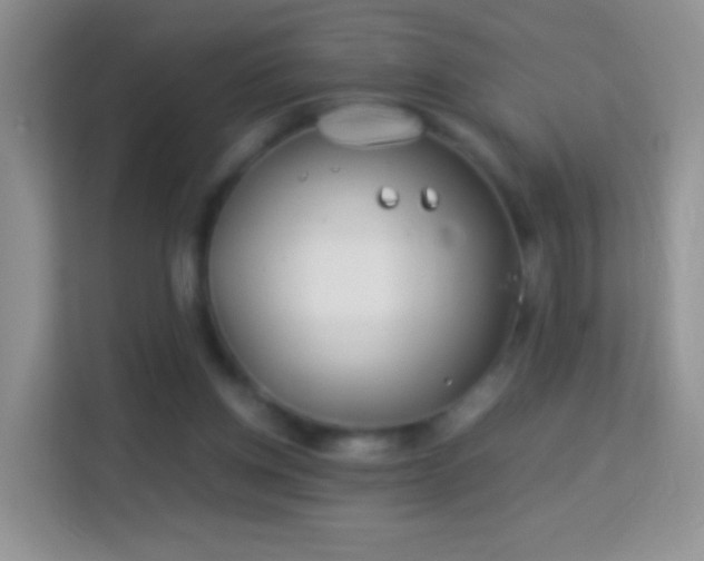 X0000113990158200910091345