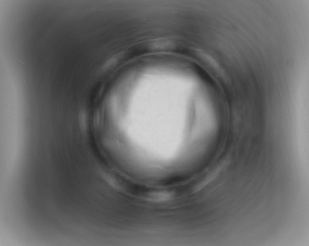 X0000113990161200910091345