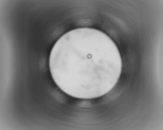 X0000113990162200910091345