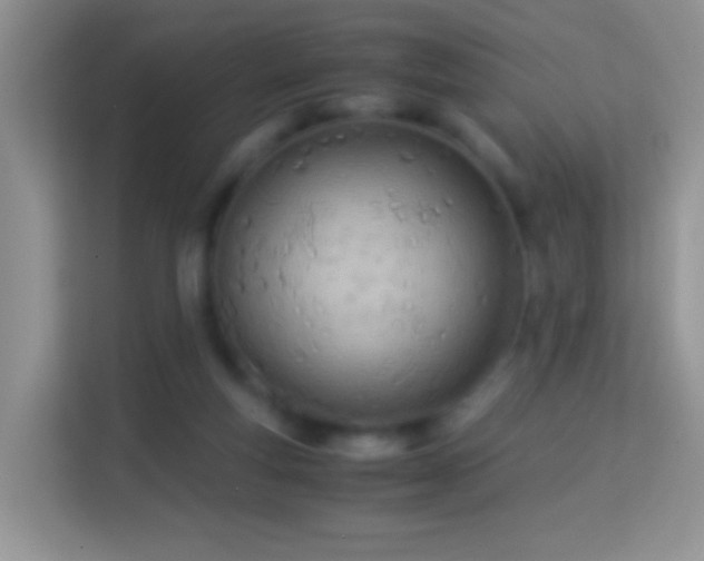 X0000113990163200910091345