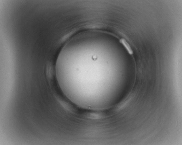 X0000113990164200910091345