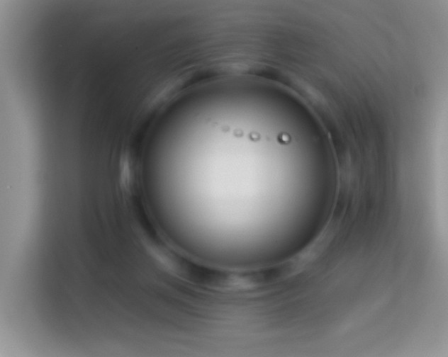 X0000113990166200910091345