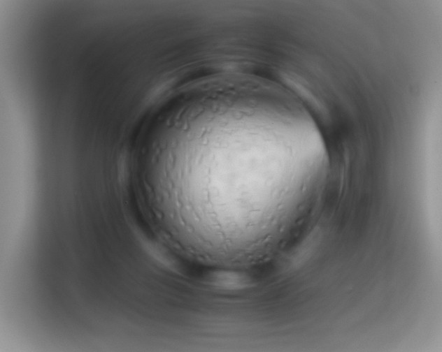 X0000113990167200910091345