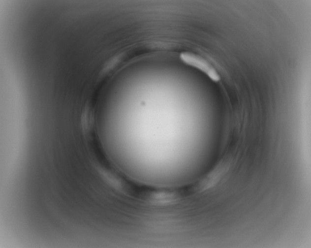 X0000113990168200910091345