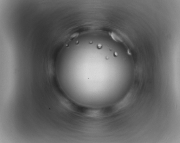 X0000113990170200910091345