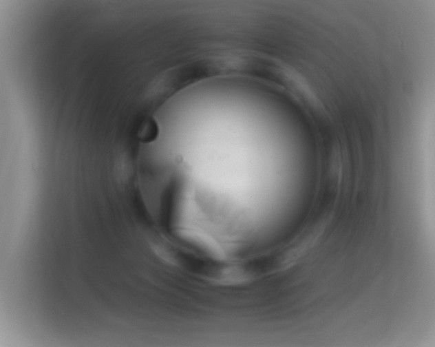 X0000113990173200910091345