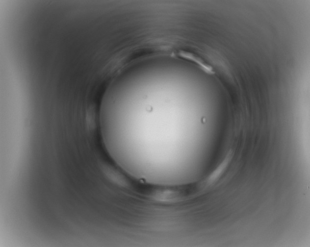 X0000113990174200910091345