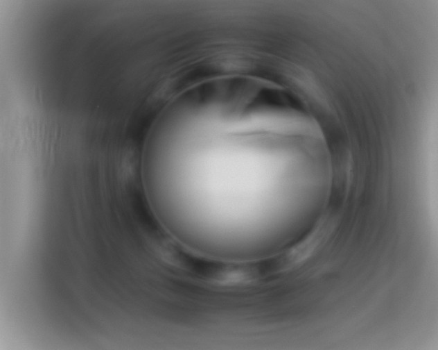 X0000113990175200910091345