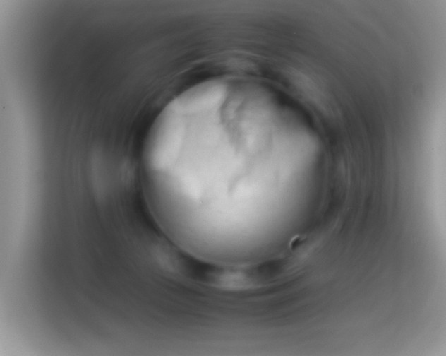 X0000113990177200910091345