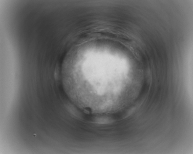 X0000113990181200910091345