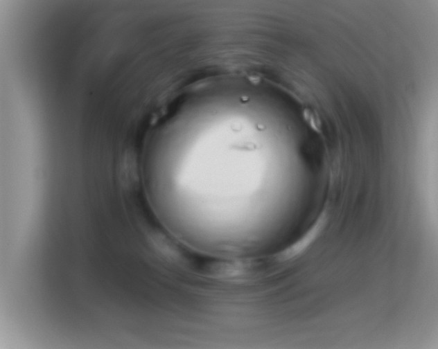 X0000113990182200910091345