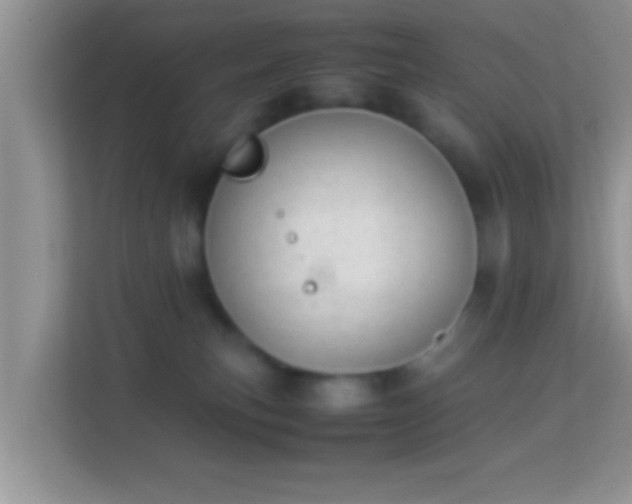 X0000113990183200910091345