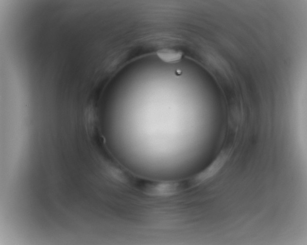 X0000113990184200910091345