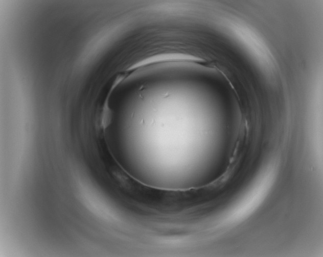 X0000113990190200910091346