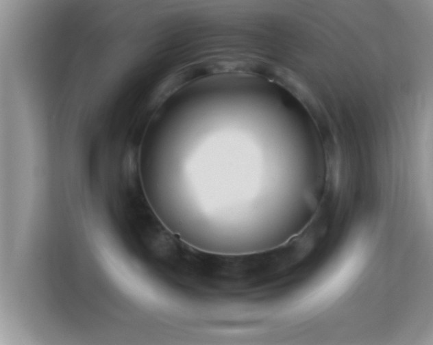 X0000113990191200910091346