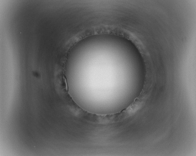 X0000113990192200910091346