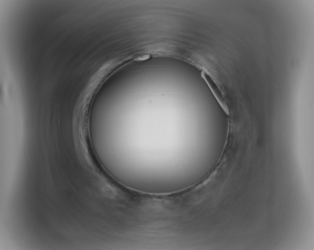 X0000113990193200910091345