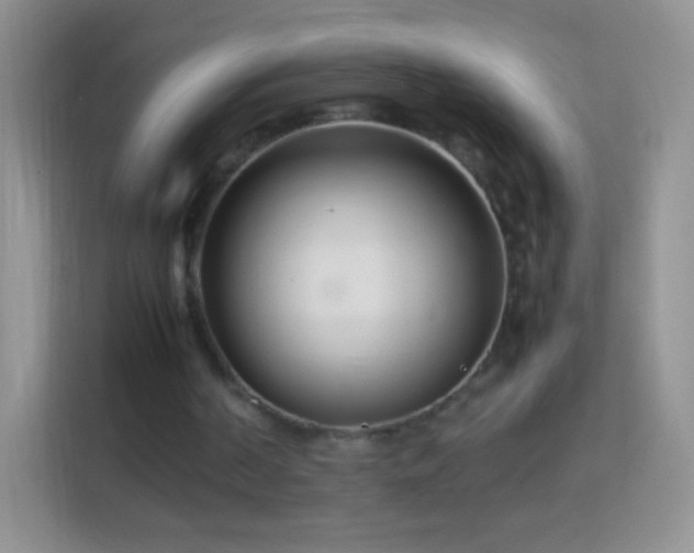 X0000113990194200910091345