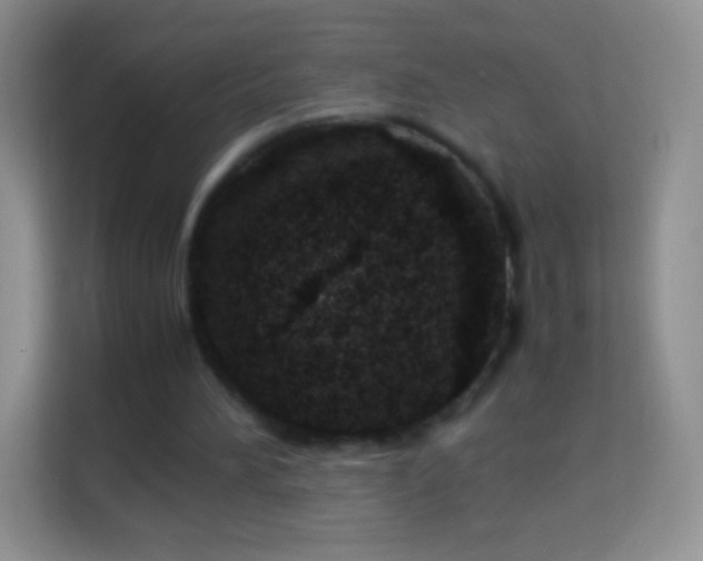 X0000113990196200910091345