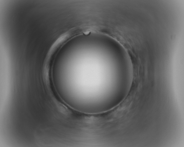 X0000113990197200910091345