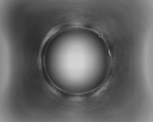 X0000113990198200910091345