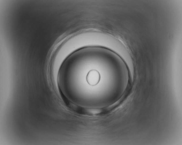 X0000113990199200910091345