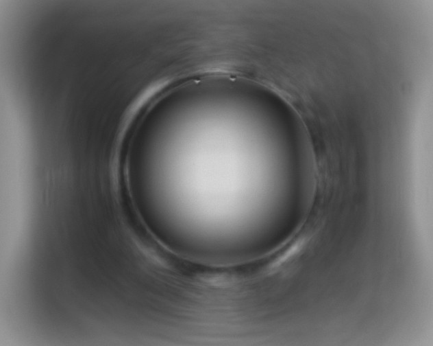 X0000113990200200910091345