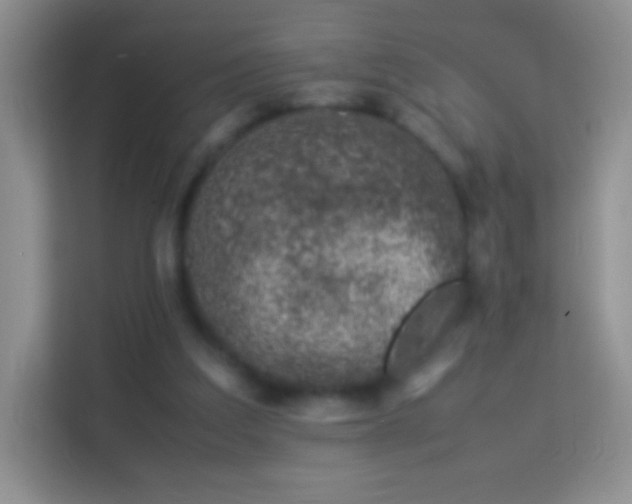 X0000113990203200910091345