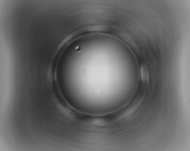 X0000113990204200910091345