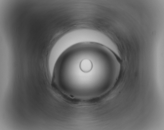 X0000113990207200910091345