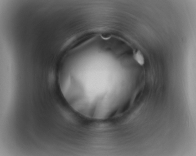 X0000113990208200910091345