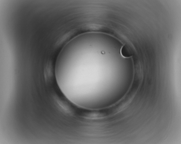 X0000113990212200910091345