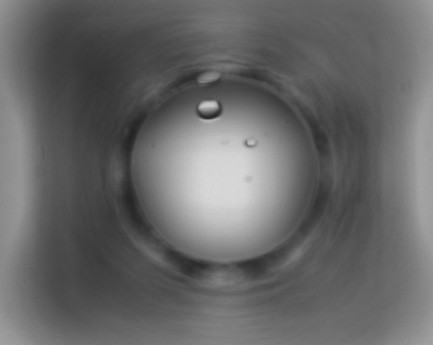 X0000113990215200910091345