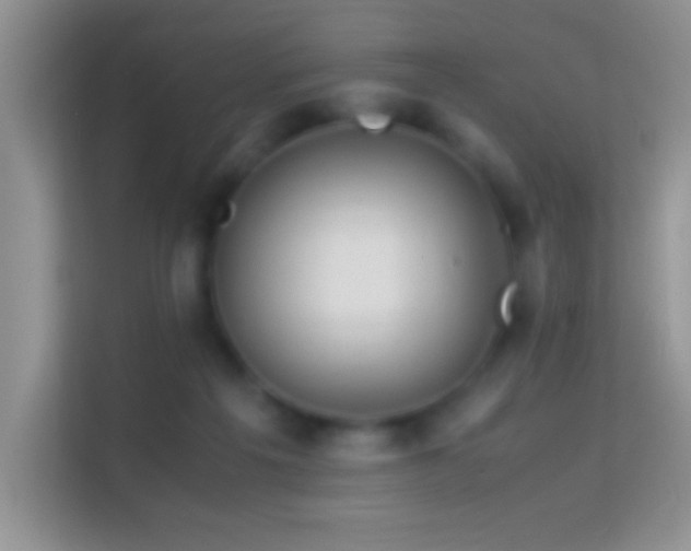 X0000113990217200910091345