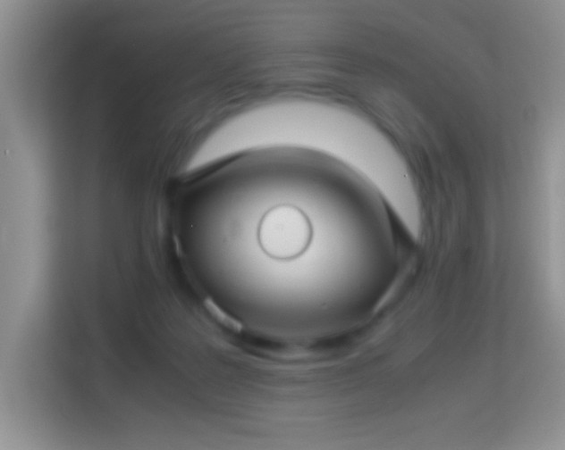 X0000113990219200910091345