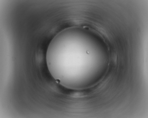 X0000113990220200910091345