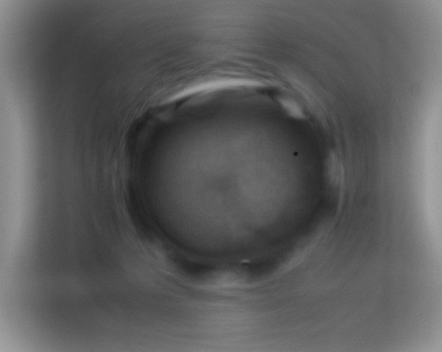 X0000113990223200910091345