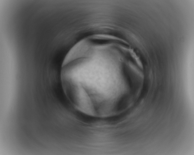 X0000113990224200910091345