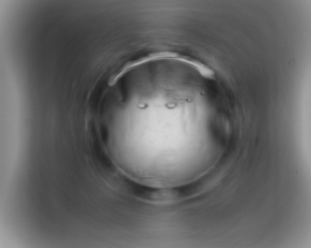 X0000113990225200910091345