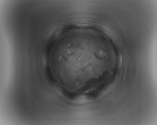 X0000113990227200910091344