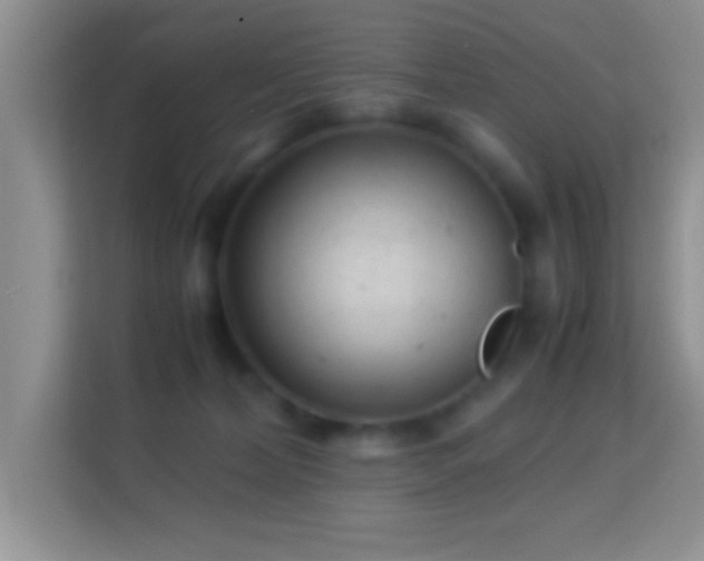 X0000113990228200910091344