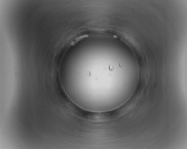 X0000113990229200910091344