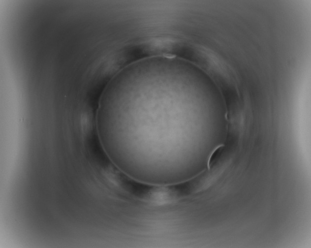 X0000113990231200910091344