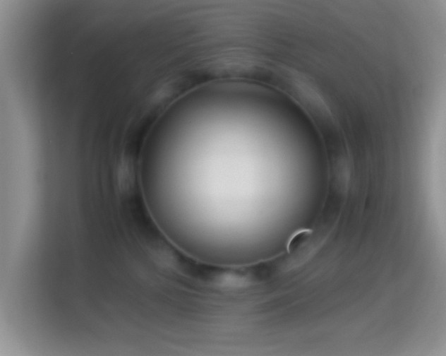 X0000113990232200910091344