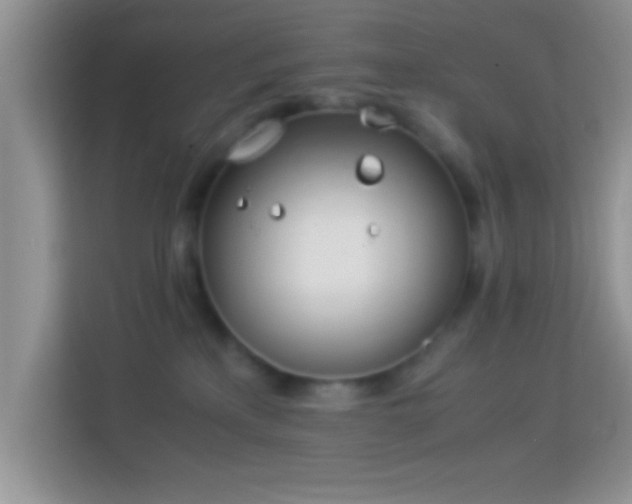 X0000113990233200910091344