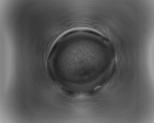 X0000113990235200910091344